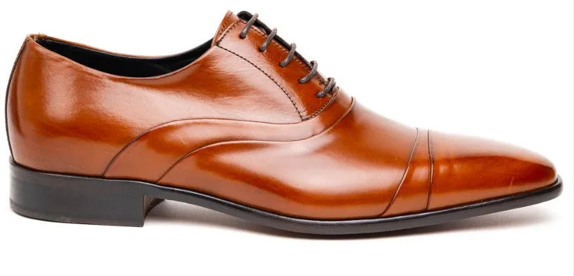 Calzoleria Toscana Z211 Cap Toe Oxfords Mahogany